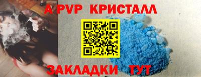 PSILOCYBIN Моздок